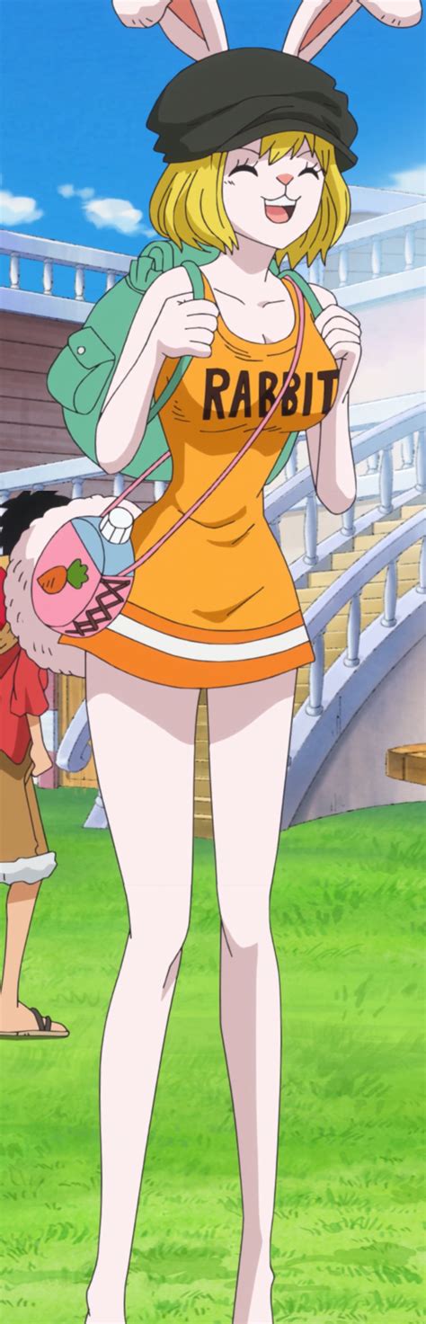 hentai one piece carrot|Character: carrot » nhentai